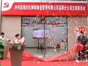 红树林物业 | 党建引领——打造“红色物业”阵地