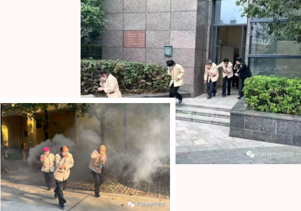 红树林物业 | 119消防演练 让生命与安全同行