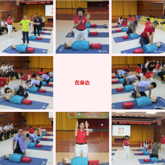 急“救”在身边 | 红树林物业急救技能培训圆满结束