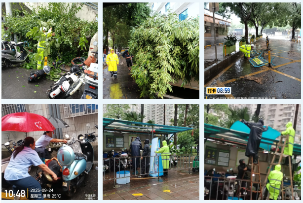 风雨将至   我们严阵以待！