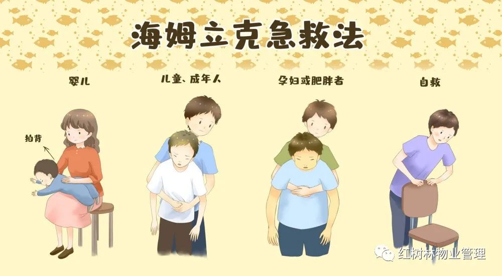 红树林物业 | “ 心肺复苏术及海姆立克急救法 ” 培训