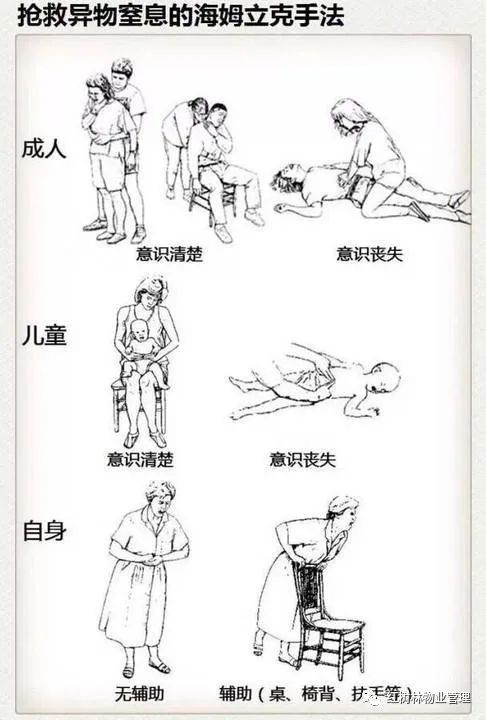 红树林物业 | “ 心肺复苏术及海姆立克急救法 ” 培训